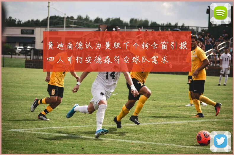费迪南德认为曼联下个转会窗引援四人可行安德森符合球队需求